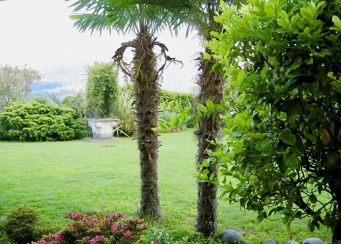 Aphrodite By Fewotessin * Brissago