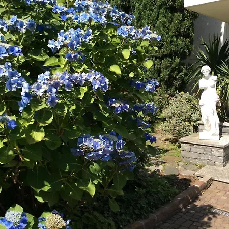 Aphrodite By Fewotessin Apartment