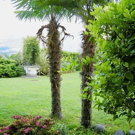 Aphrodite By Fewotessin * Brissago